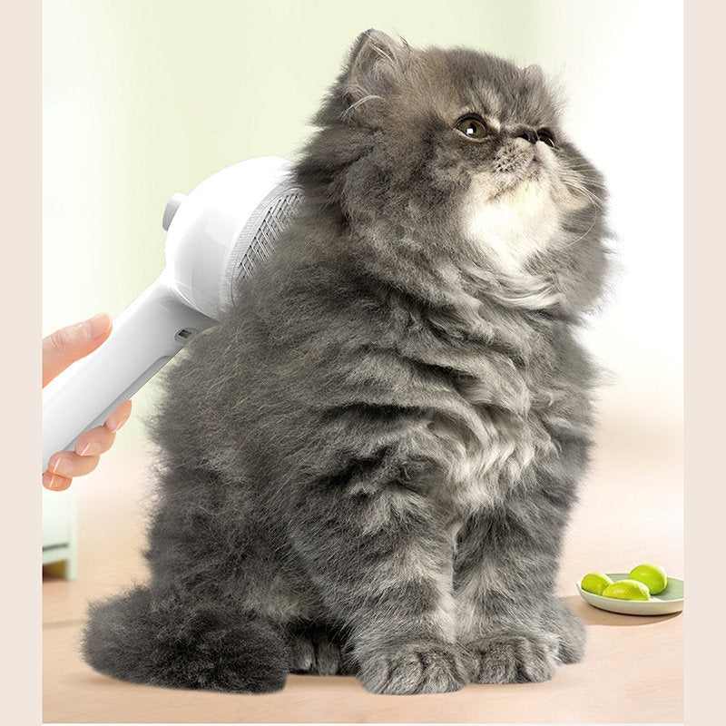 Mist Massage Brush (Dogs & Cats)